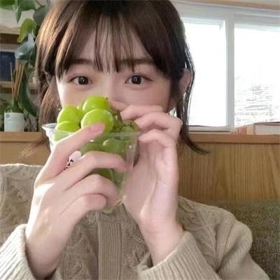 选举追缉令